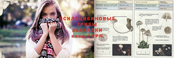 метадон Елизово