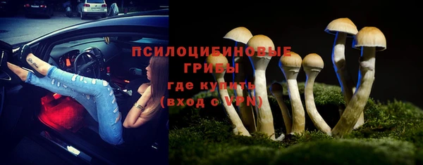 дурь Ельня