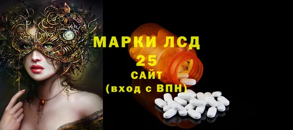 дурь Ельня