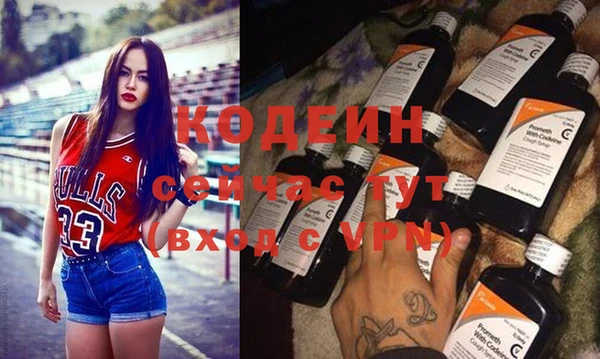 дурь Ельня