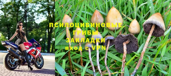 тгк Елабуга