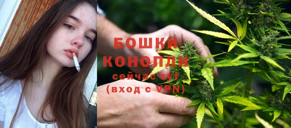 дурь Ельня
