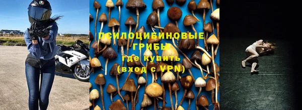 тгк Елабуга
