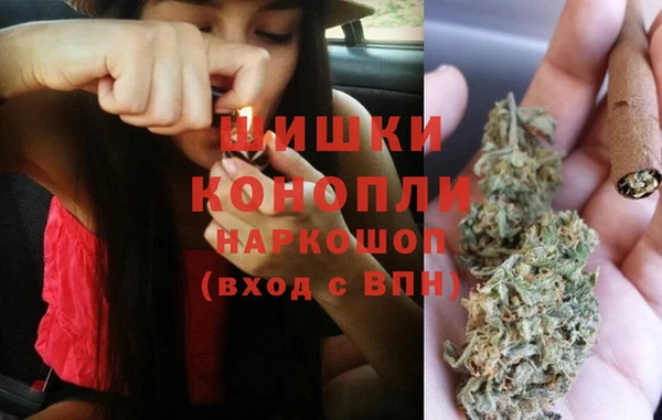 дурь Ельня