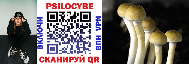 Псилоцибиновые грибы Psilocybine cubensis  Купить  Южно-Сухокумск 